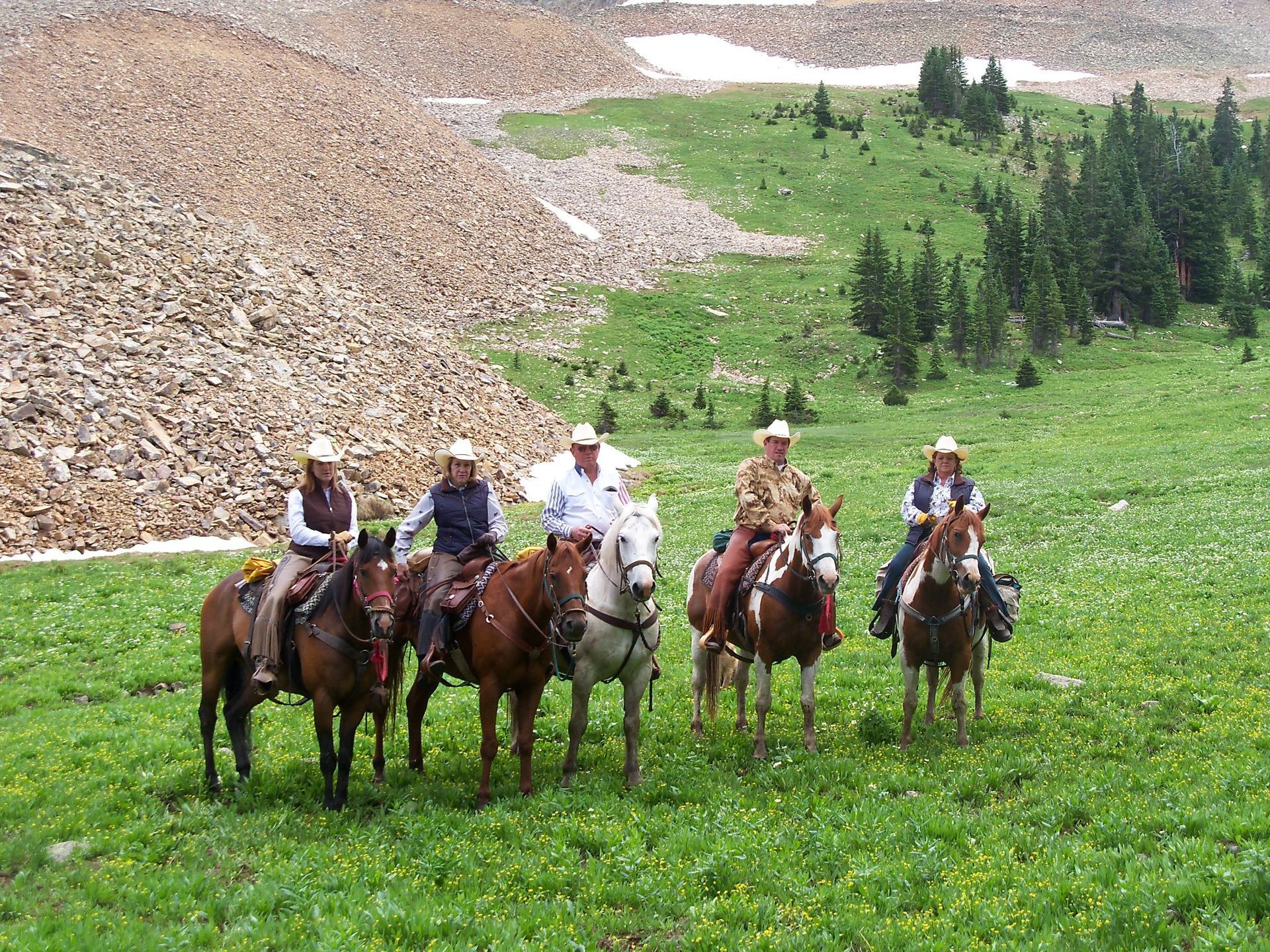 A group of people riding horses in a grassy field