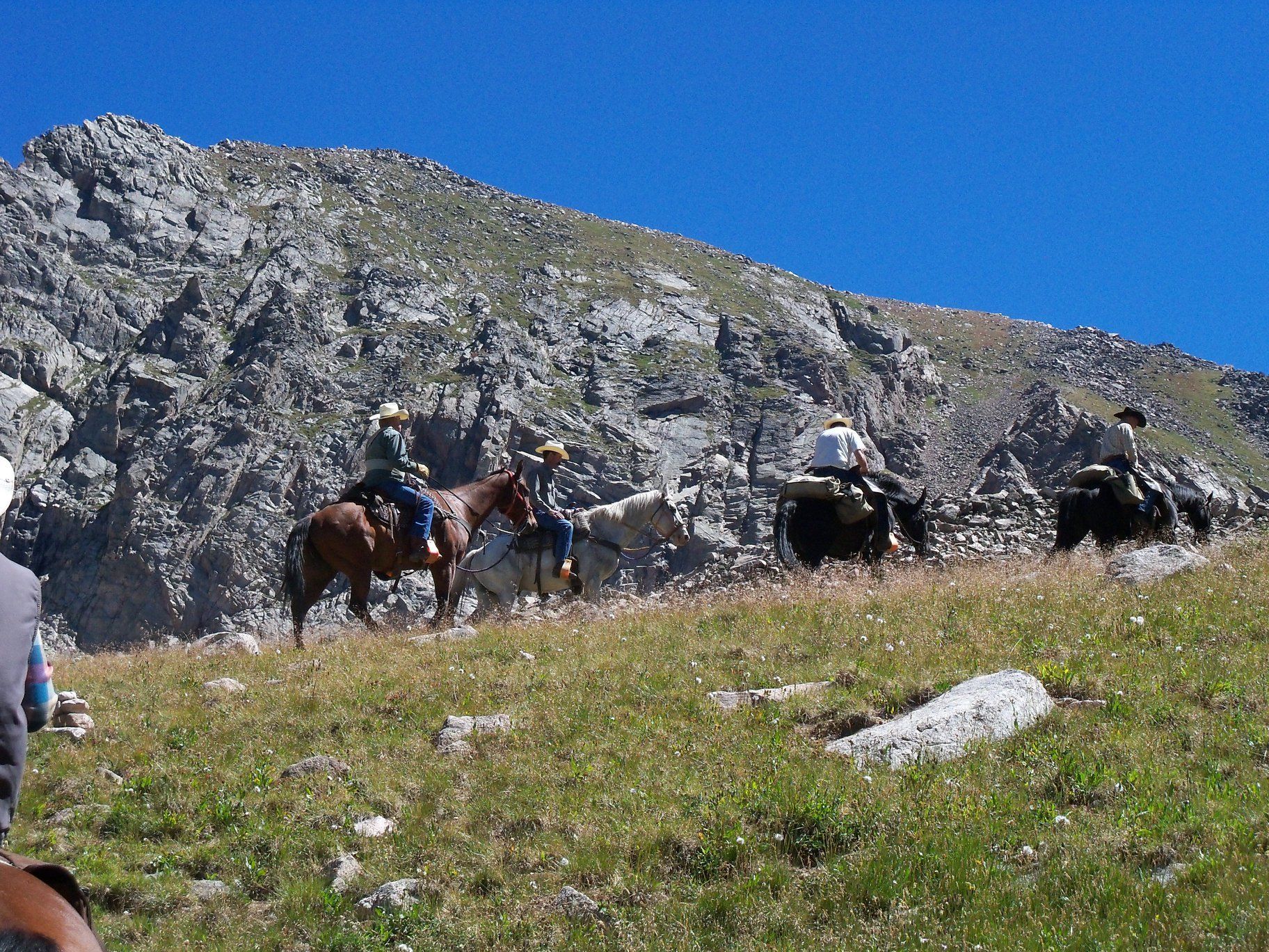 A group of people riding horses on top of a grassy hill