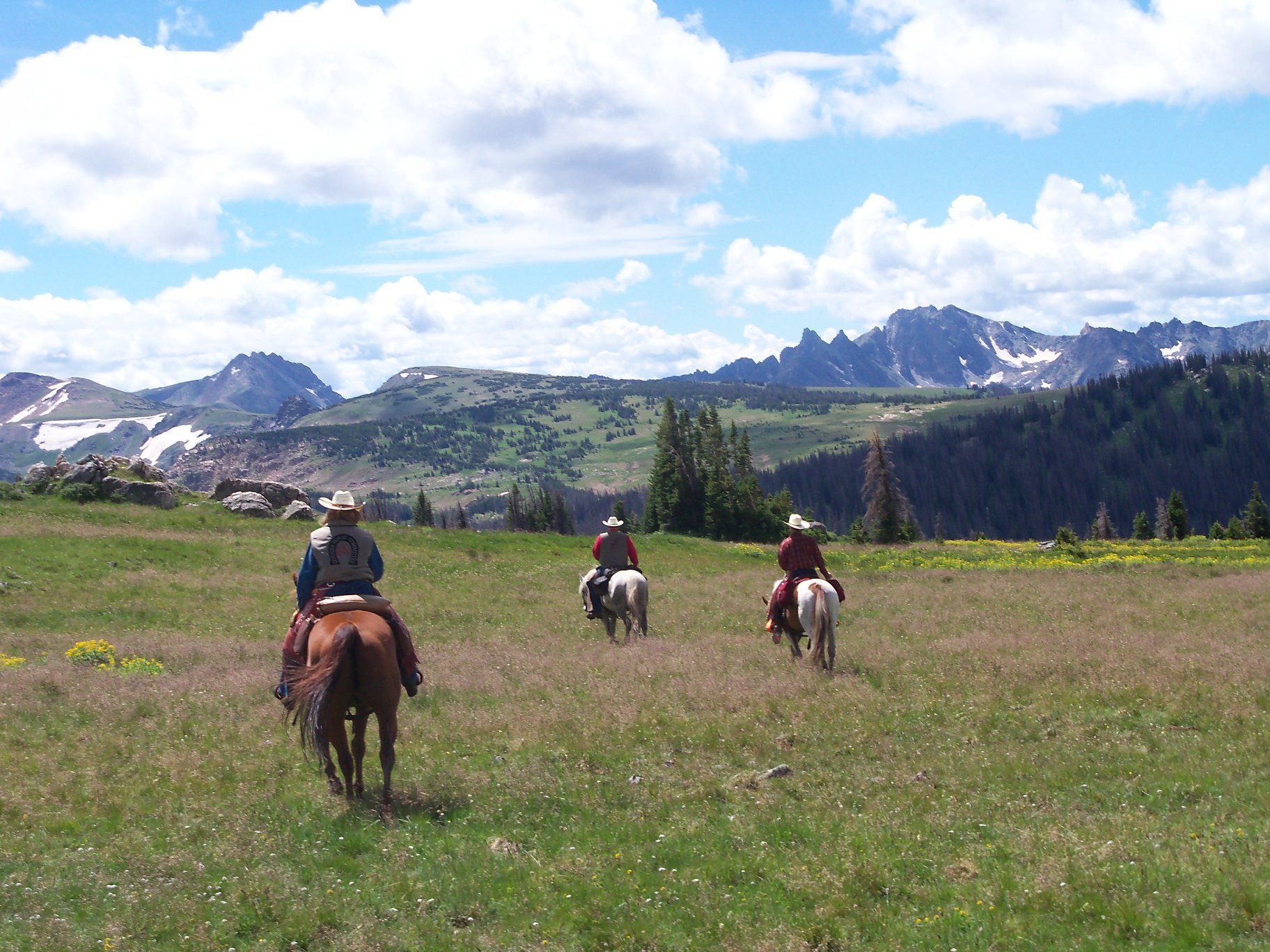 Three people riding horses in a field with mountains in the background