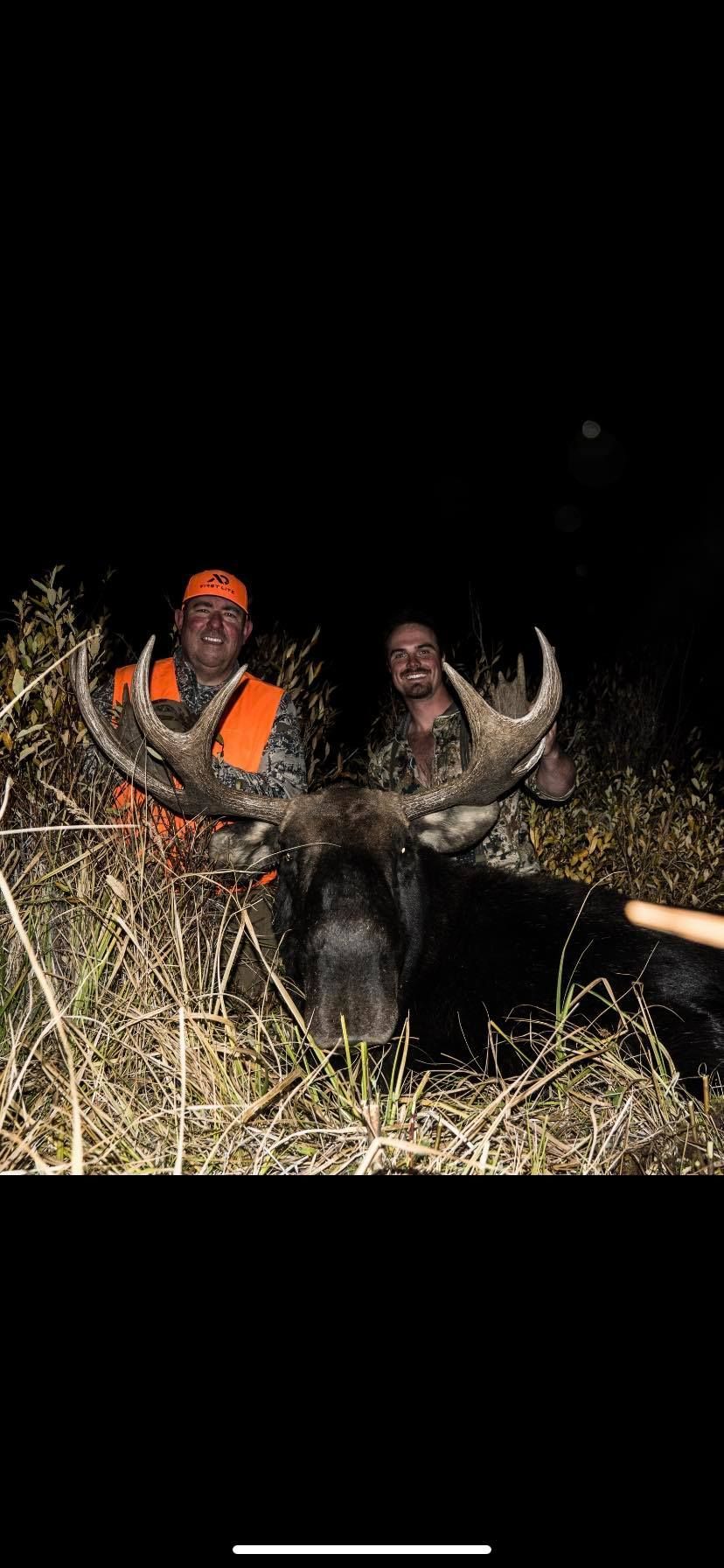 Two men are standing next to a moose in the dark.