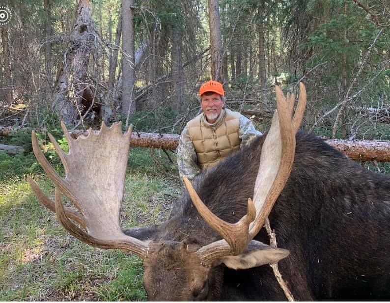 A man is standing next to a large moose in the woods.