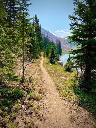 A dirt path leading to a lake surrounded by trees and grass.