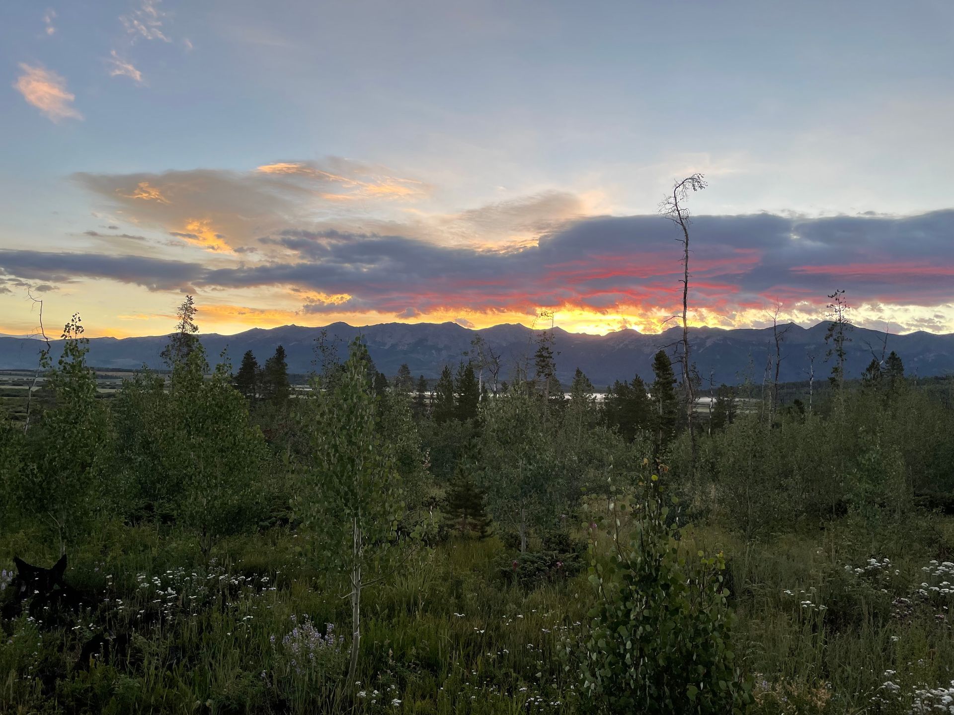A sunset over a field with trees and mountains in the background.