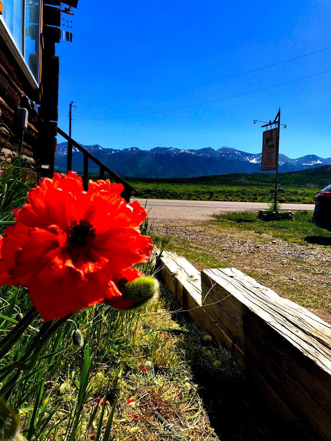 A red flower is in front of a building with mountains in the background