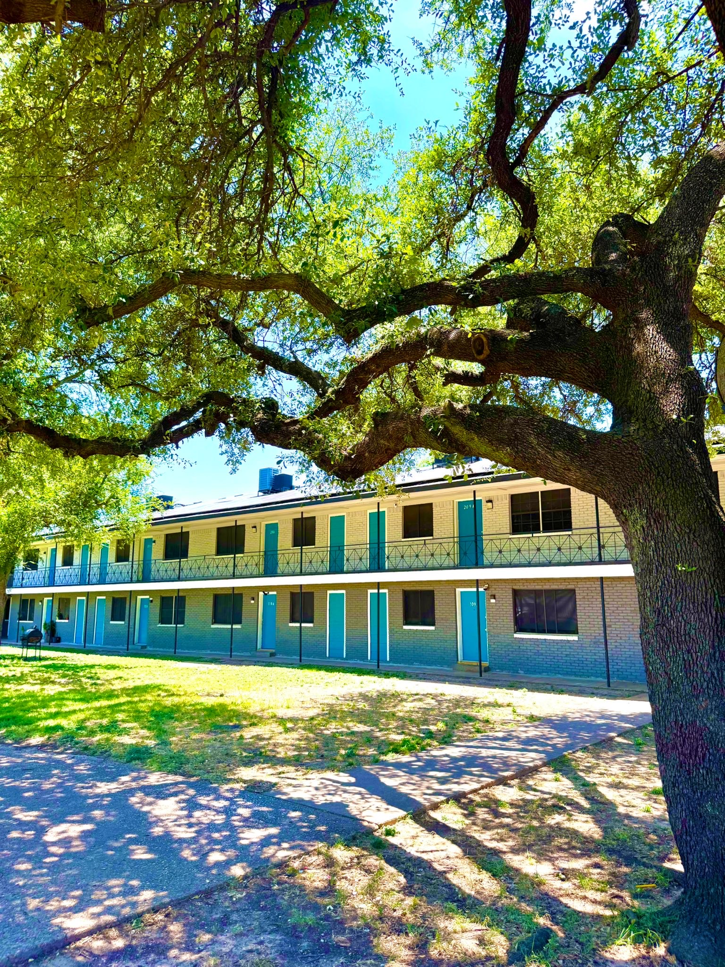 Two-story motel with teal doors and a large tree in front casting shadows on the grass.