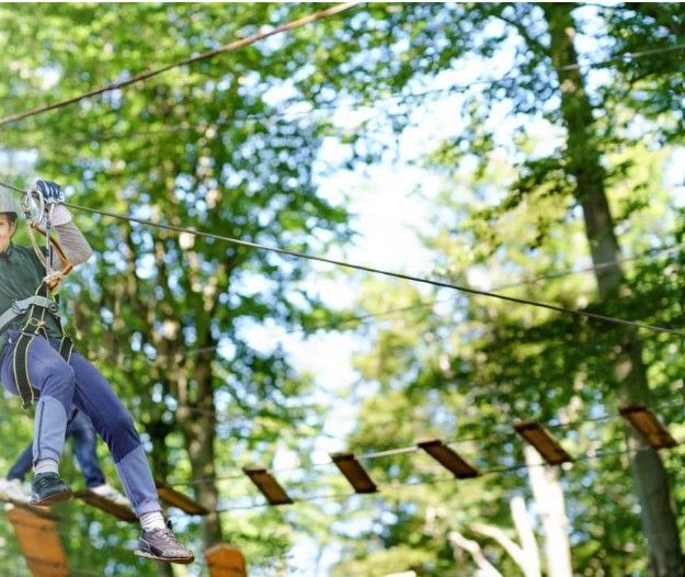 Hoog in de bomen avontuurlijk en natuur