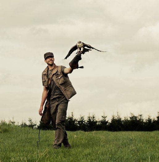 roofvogel demonstratie