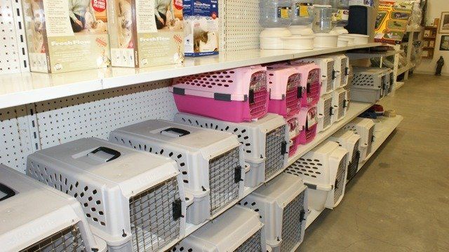 Pet Carrier — Clinton, IA — All Pets Mobile Clinic