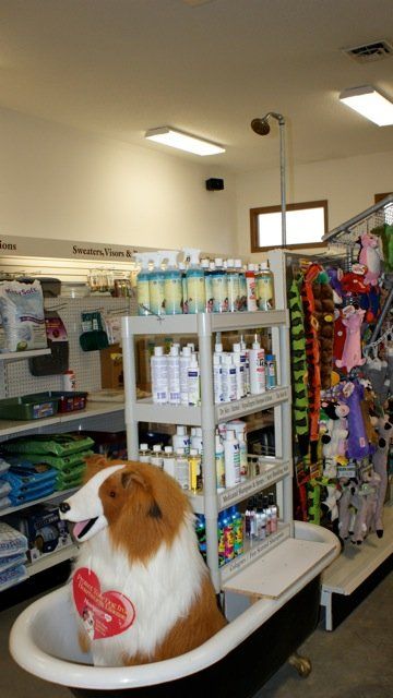 Pet Shampoo — Clinton, IA — All Pets Mobile Clinic