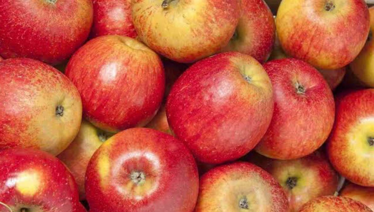 FRESAS DEL BAJIO HERNANDEZ - MANZANA