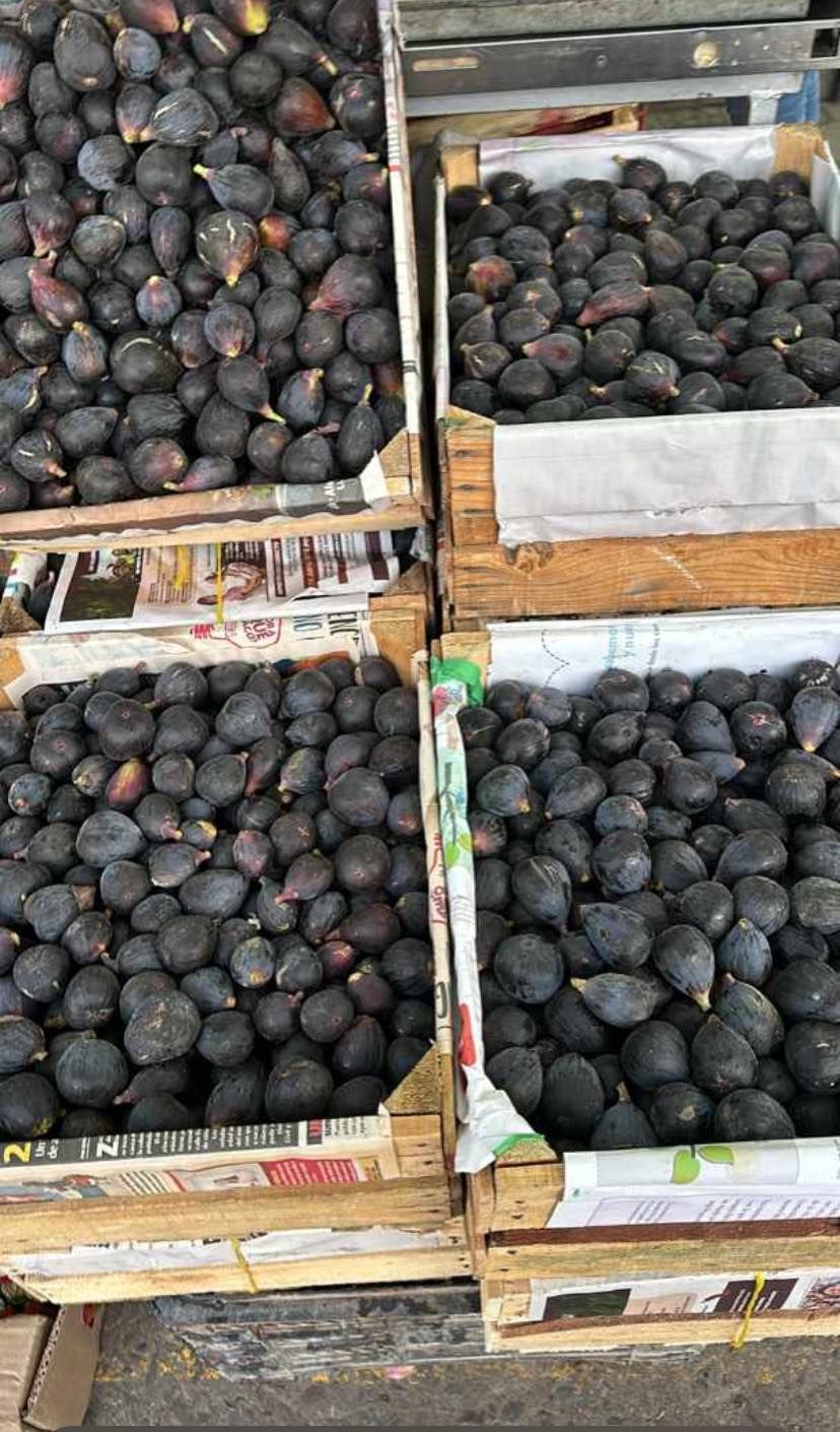 FRESAS DEL BAJIO HERNANDEZ - UVA