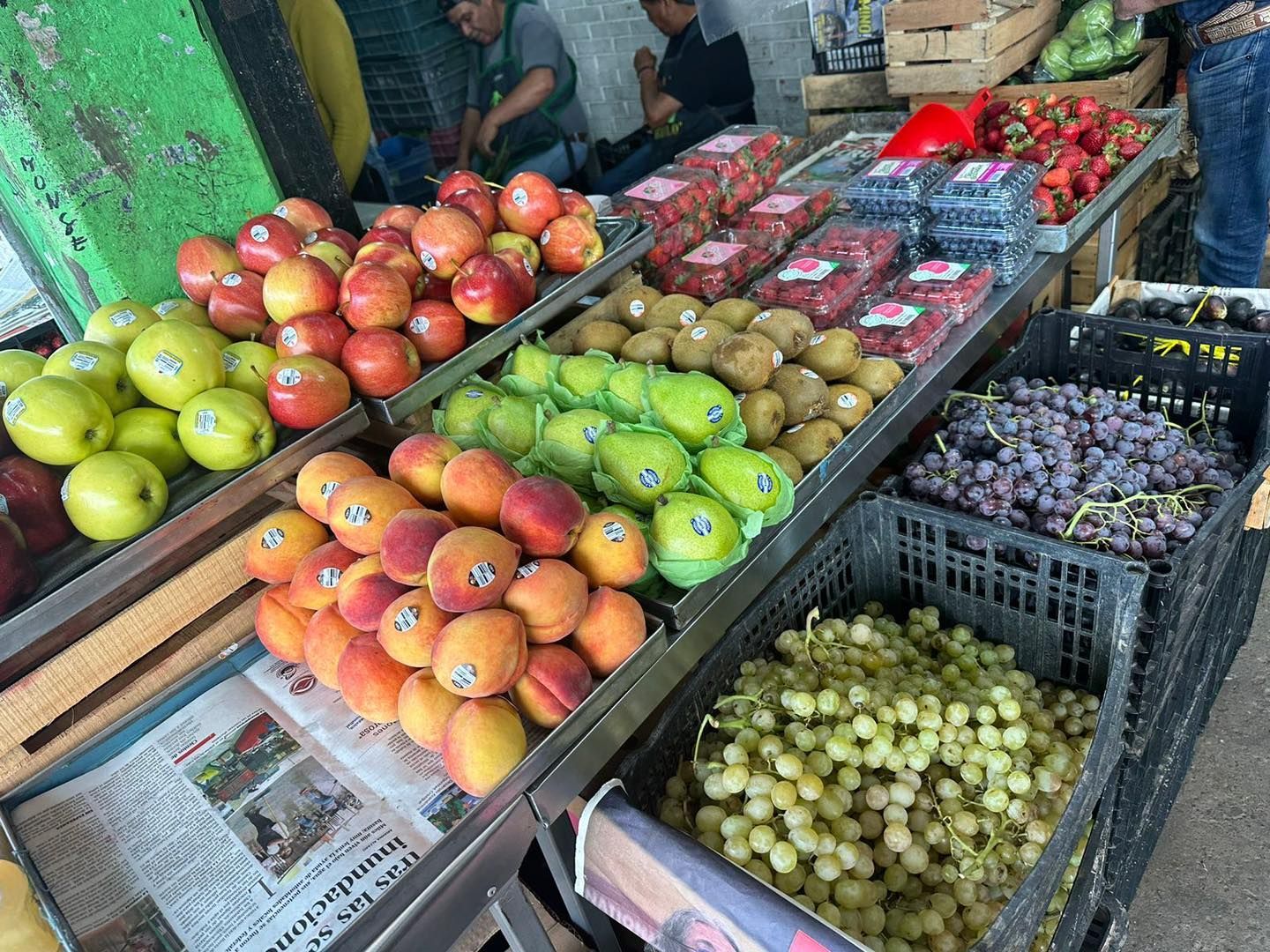 FRESAS DEL BAJIO HERNANDEZ -
