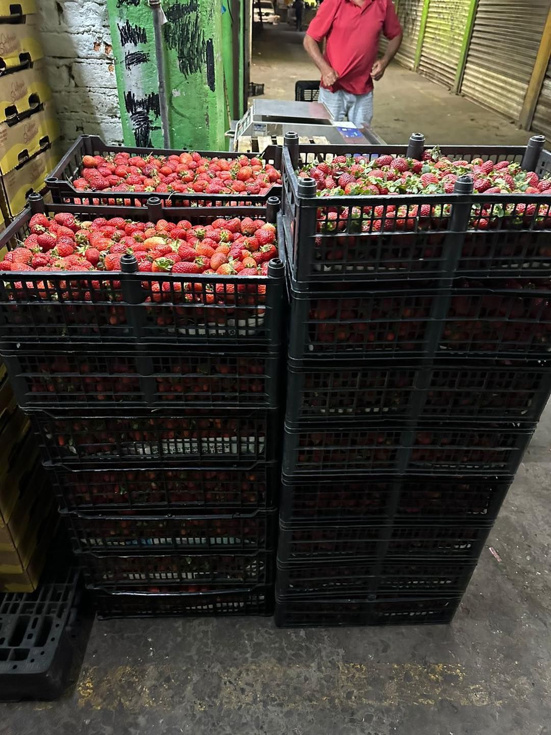 FRESAS DEL BAJIO HERNANDEZ -