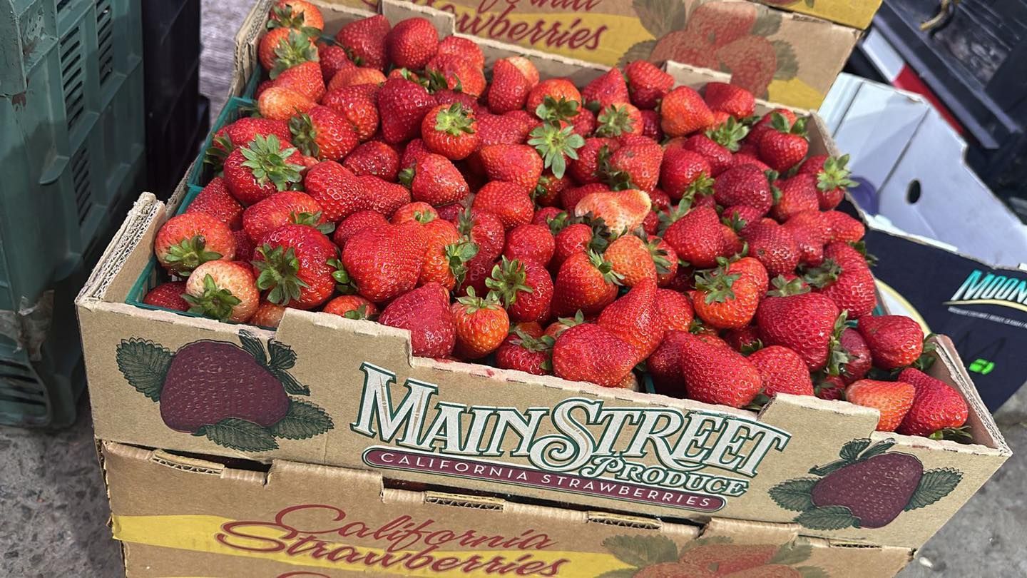 FRESAS DEL BAJIO HERNANDEZ -