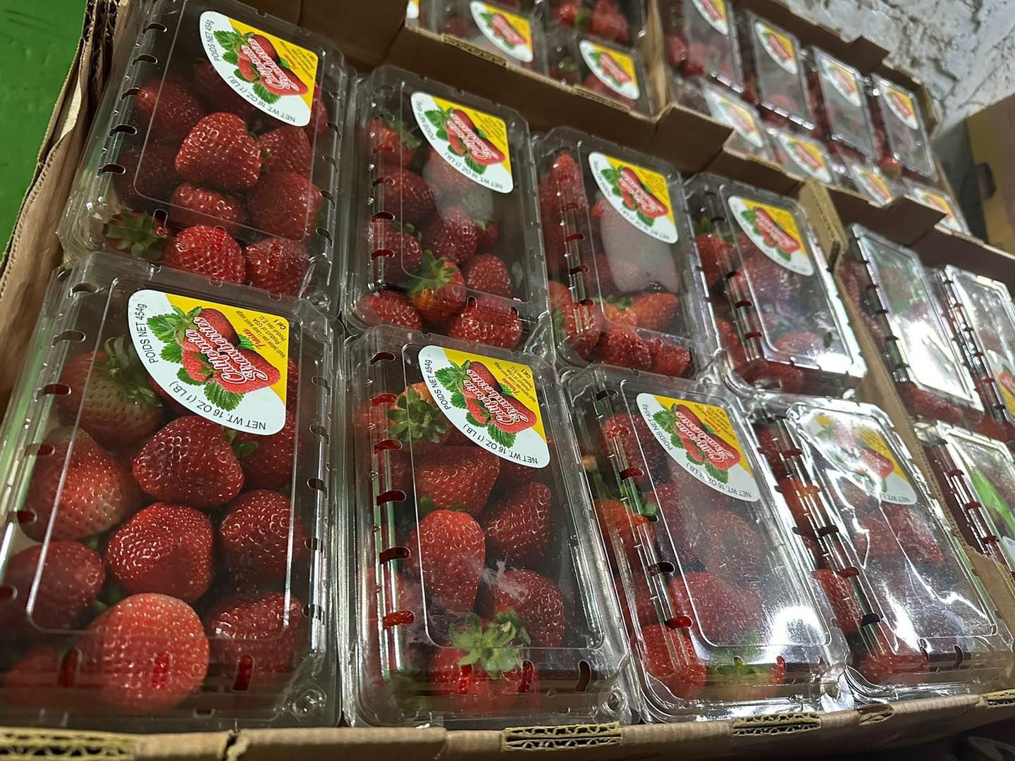 FRESAS DEL BAJIO HERNANDEZ -