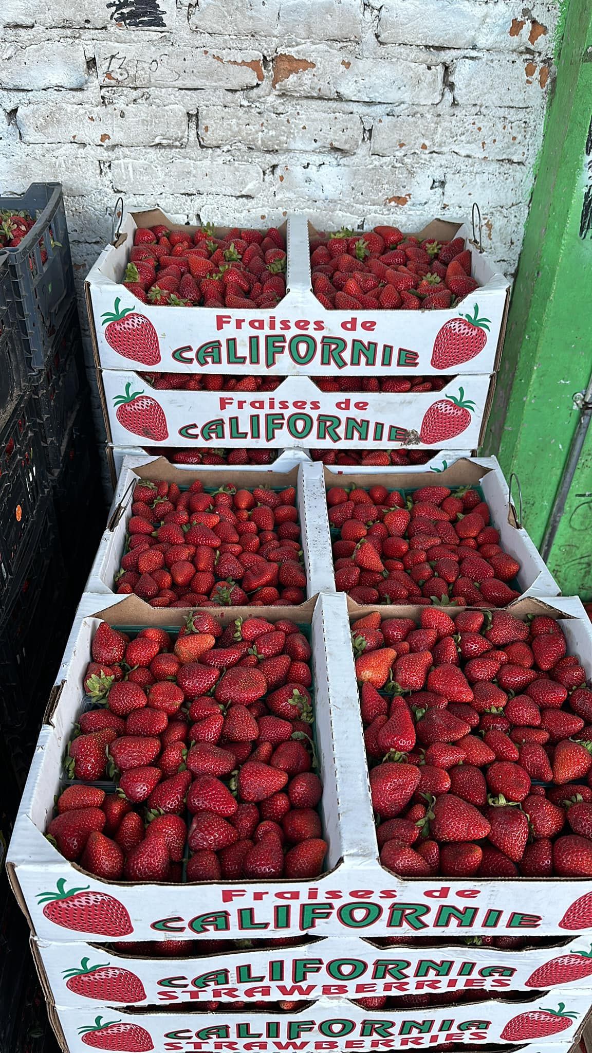 FRESAS DEL BAJIO HERNANDEZ - FRESA