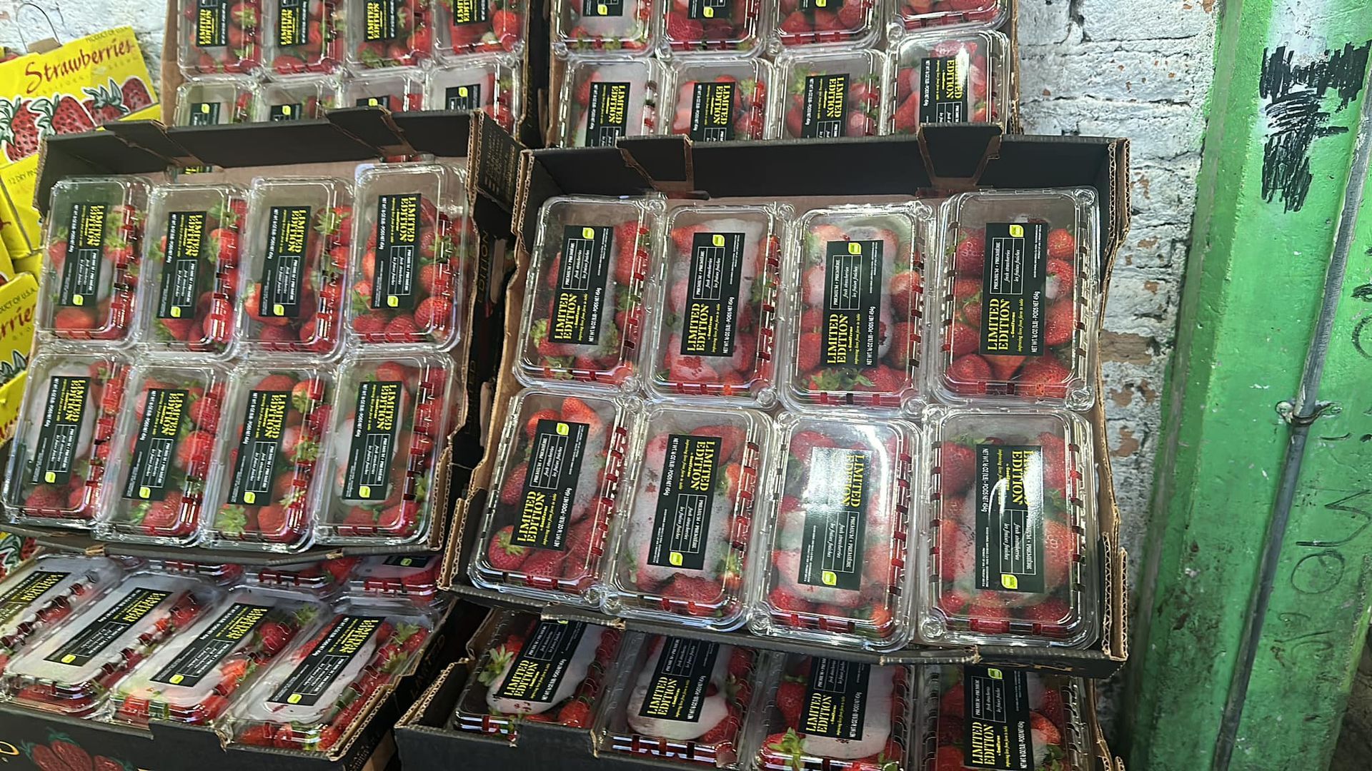 FRESAS DEL BAJIO HERNANDEZ -