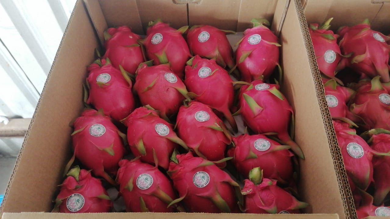 FRESAS DEL BAJIO HERNANDEZ -