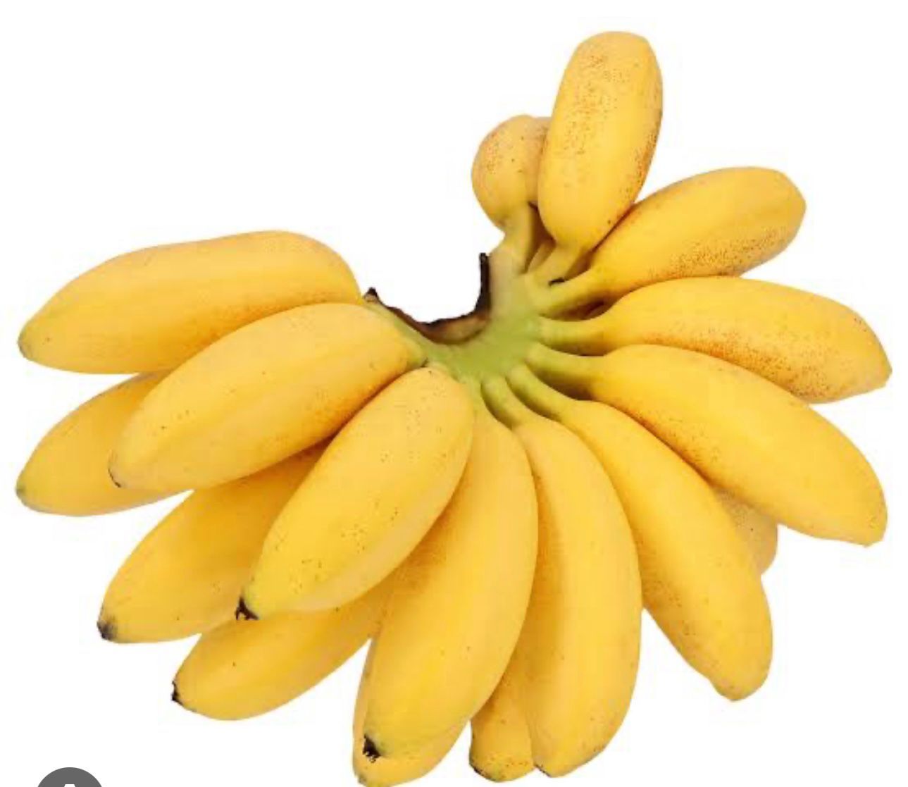 FRESAS DEL BAJIO HERNANDEZ - PLATANO