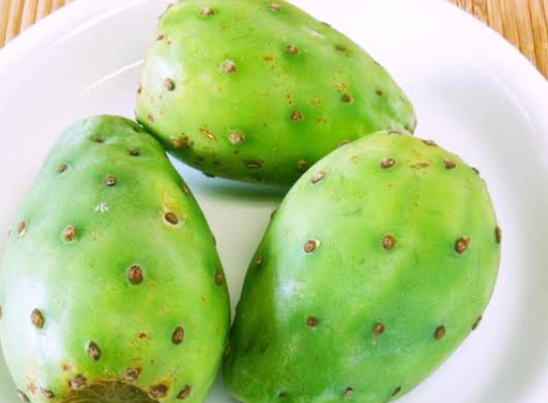 FRESAS DEL BAJIO HERNANDEZ - TUNA