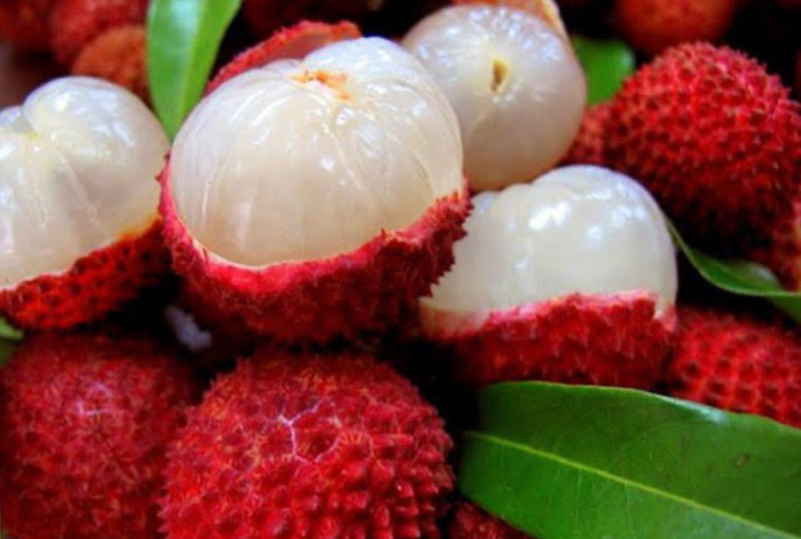 FRESAS DEL BAJIO HERNANDEZ - FRUTA DE CALIDAD