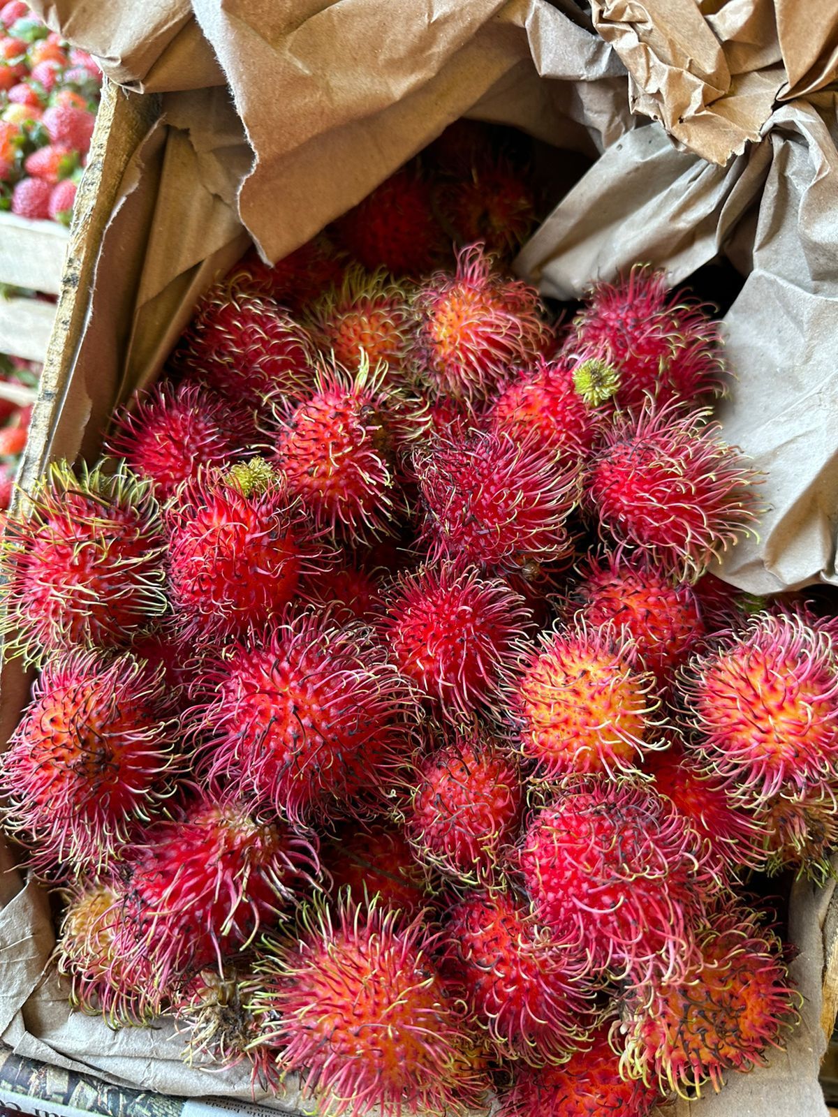 FRESAS DEL BAJIO HERNANDEZ - CARAMBOLOS