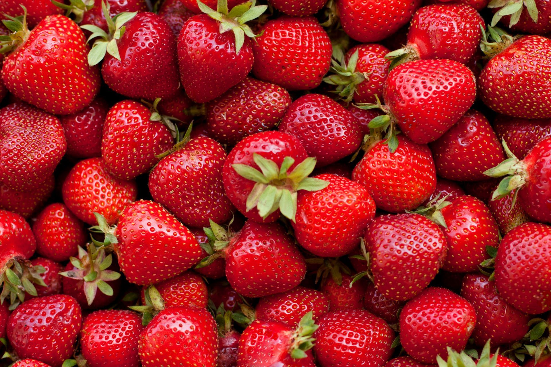 fresas
