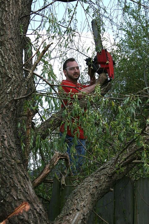 Man with chainsaw - Tree Service in Mount Bethel, PA