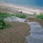 Landscaping Services