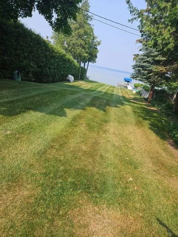 Landscaping Services