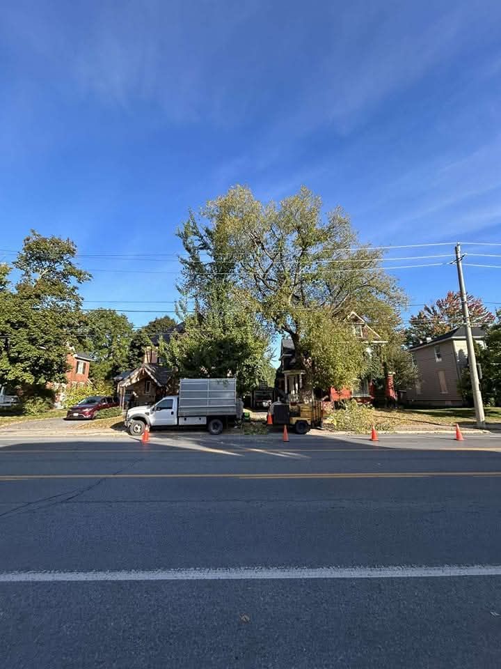 A white truck is parked on the side of the road.