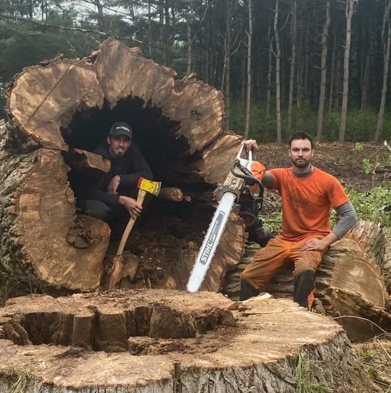 Two men are sitting on a tree stump holding chainsaws