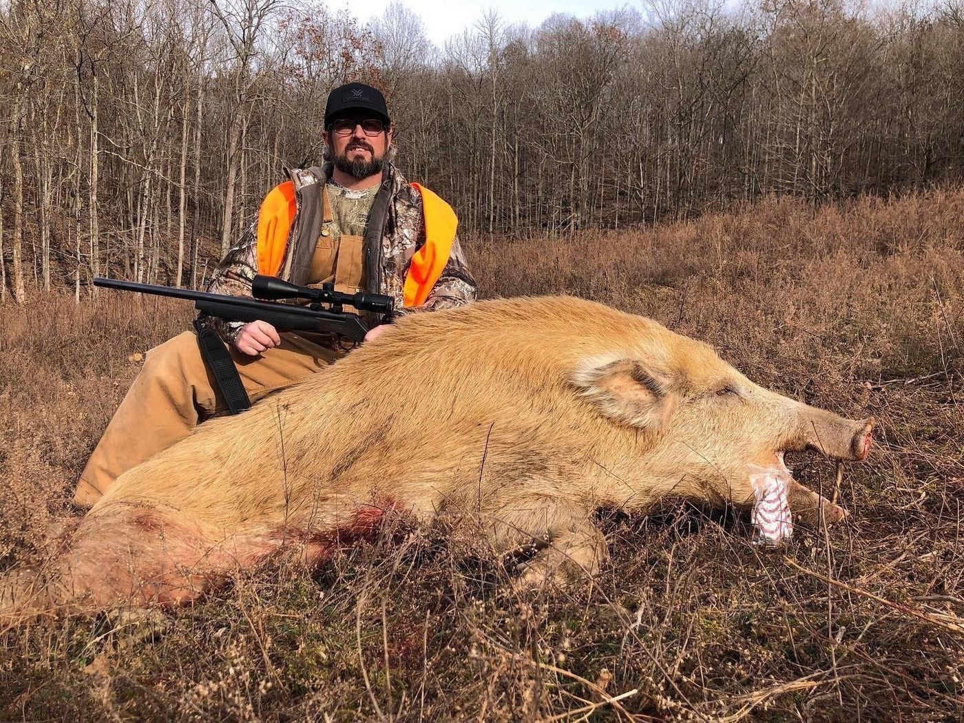 Tennessee Wild Boar Hunt