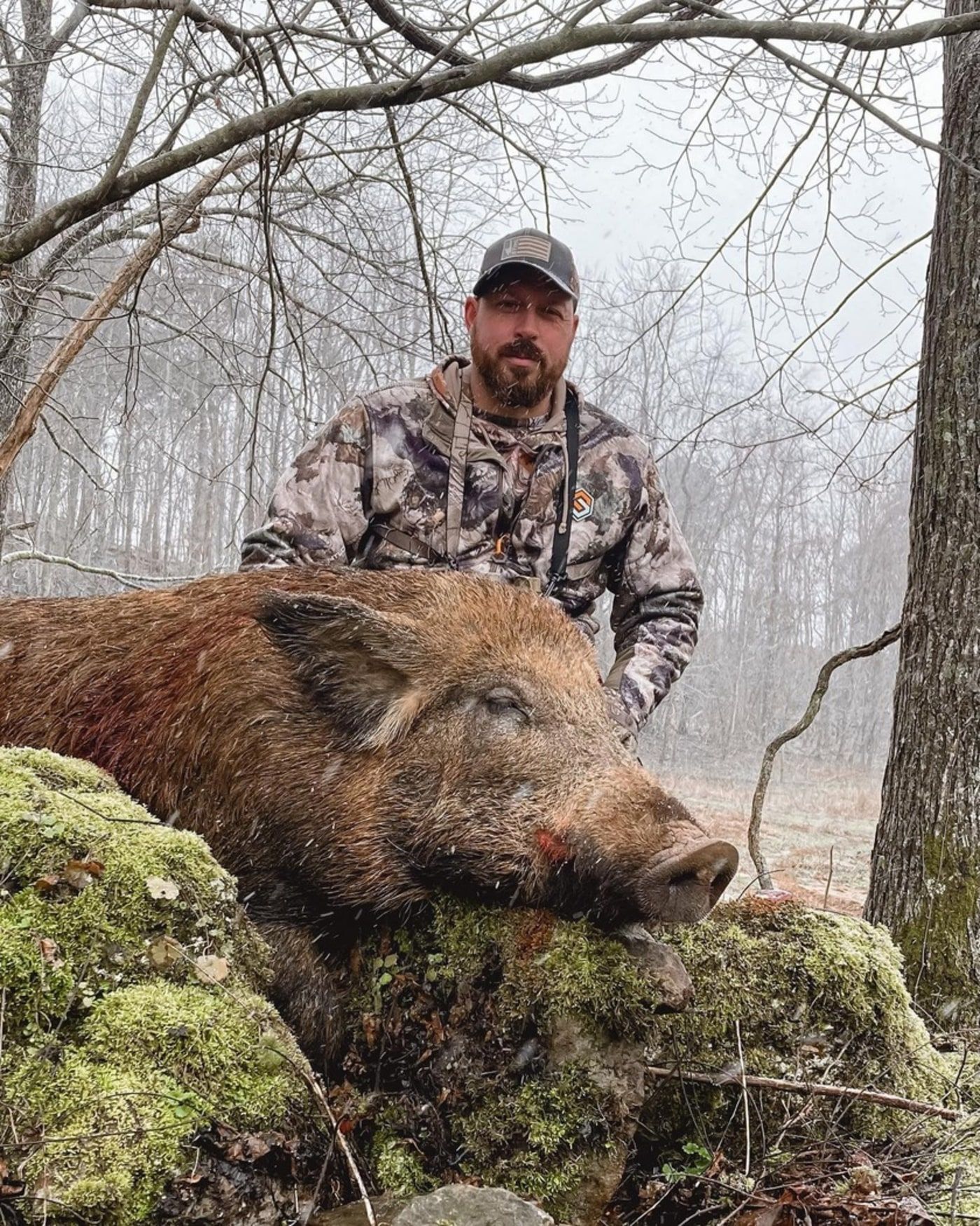 Tennessee Wild Boar Hunt