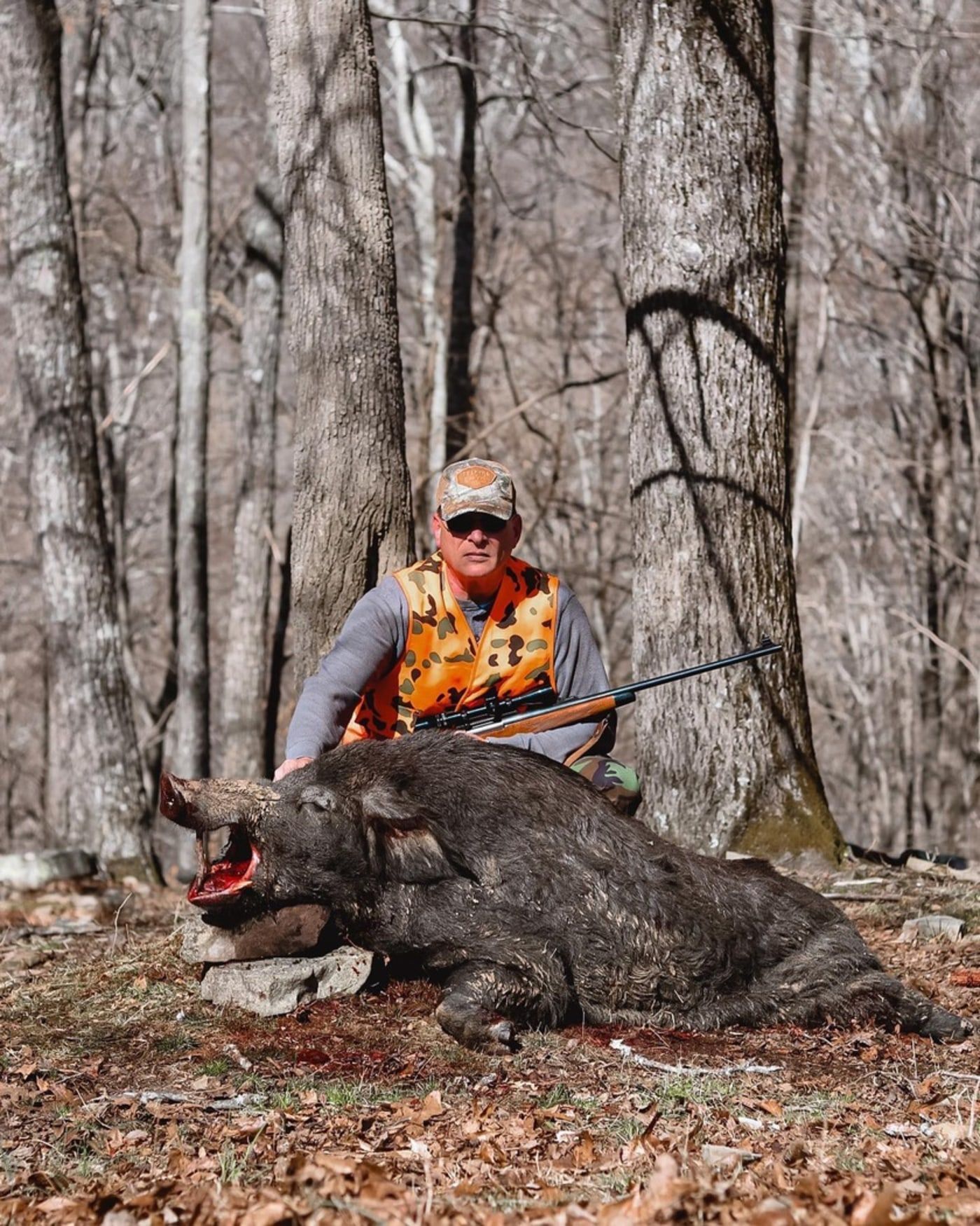 Tennessee Wild Boar Hunt