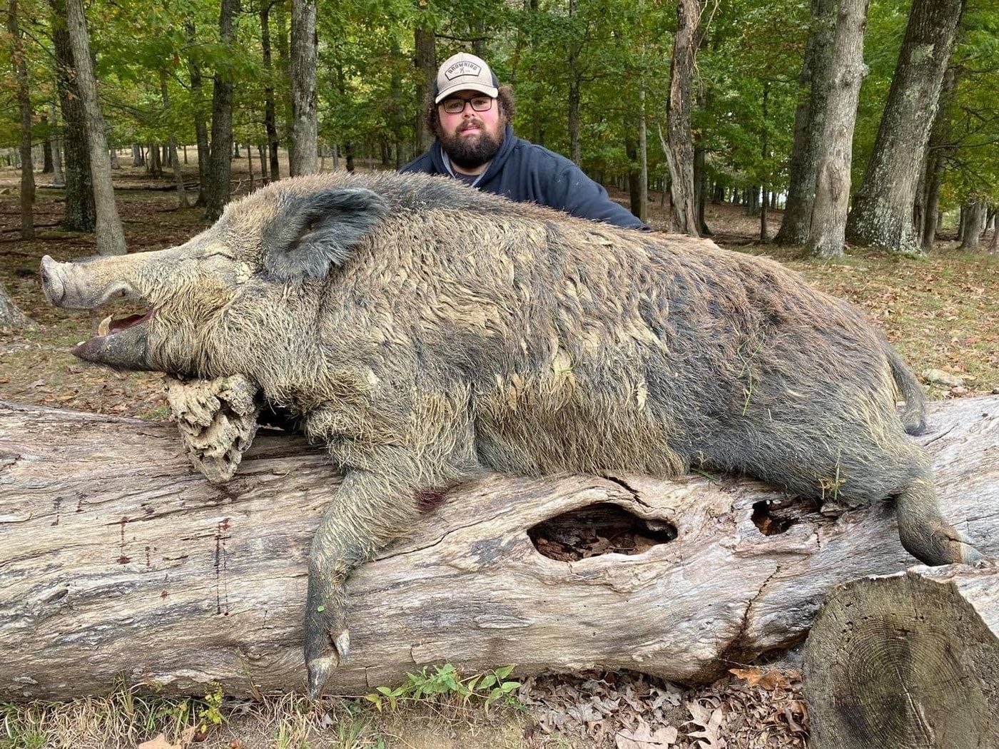 Tennessee Wild Boar Hunt