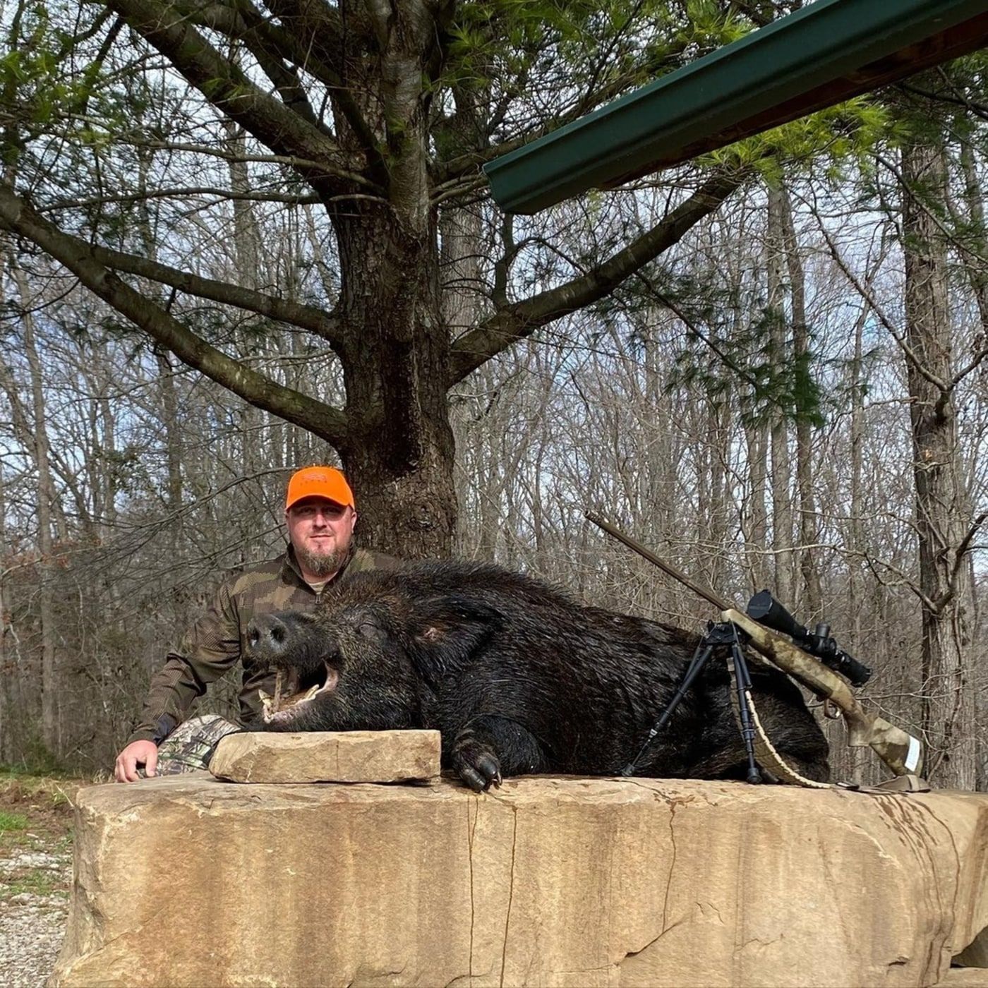 Tennessee Wild Boar Hunt