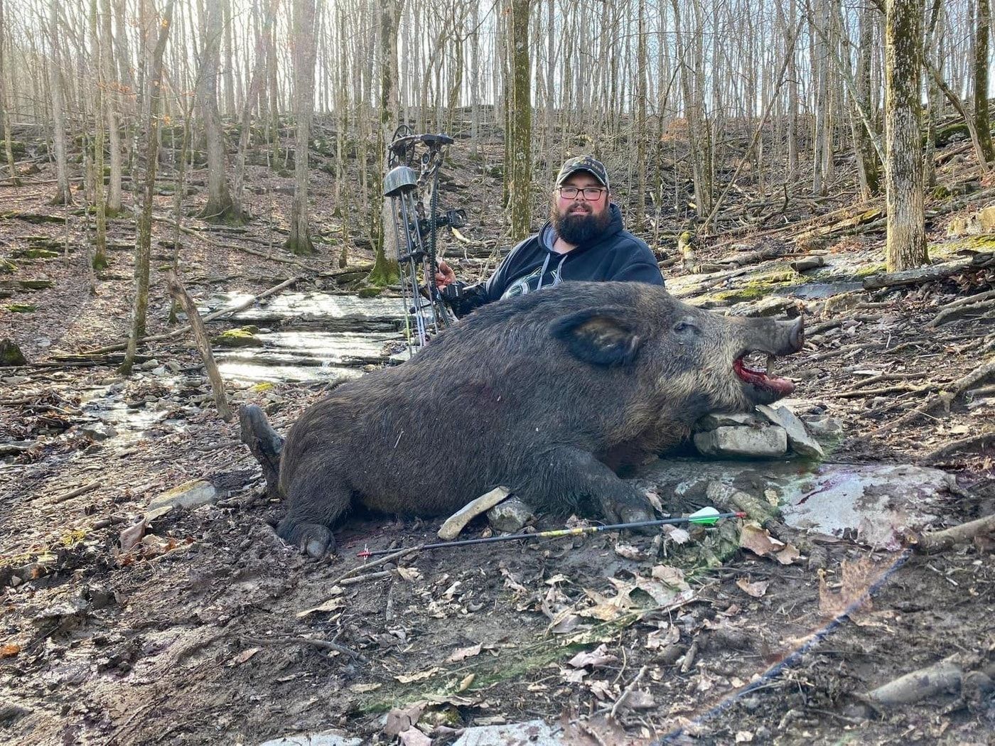 Tennessee Wild Boar