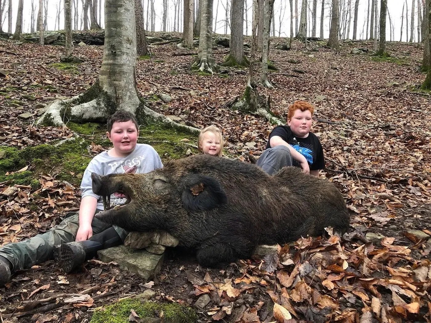 Tennessee Wild Boar Hunt