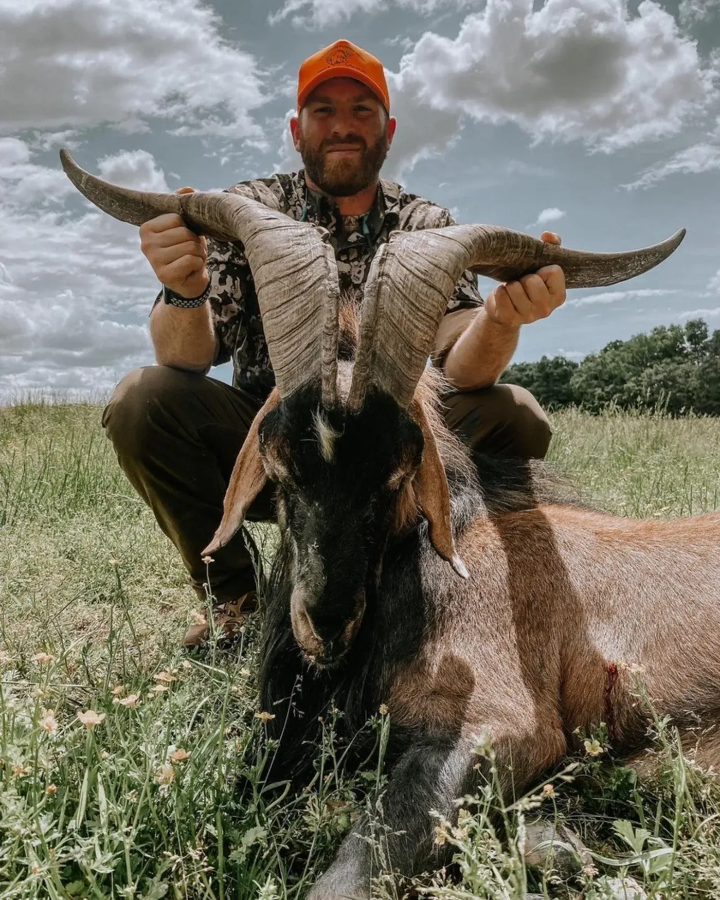 Tennessee Exotic Game Hunt