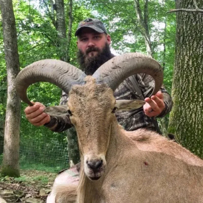 Exotic Game Hunts
