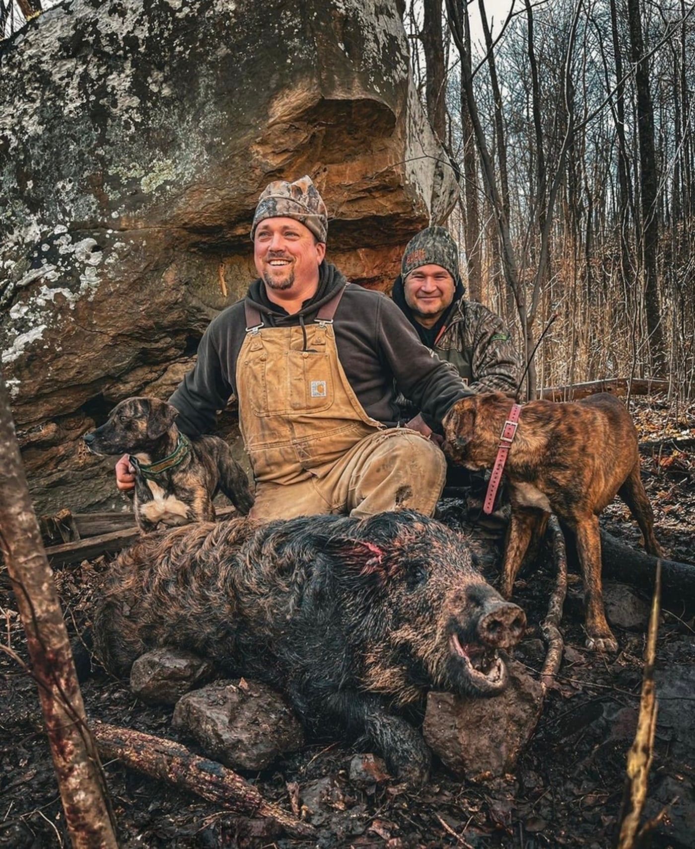 Tennessee Wild Boar Hunts