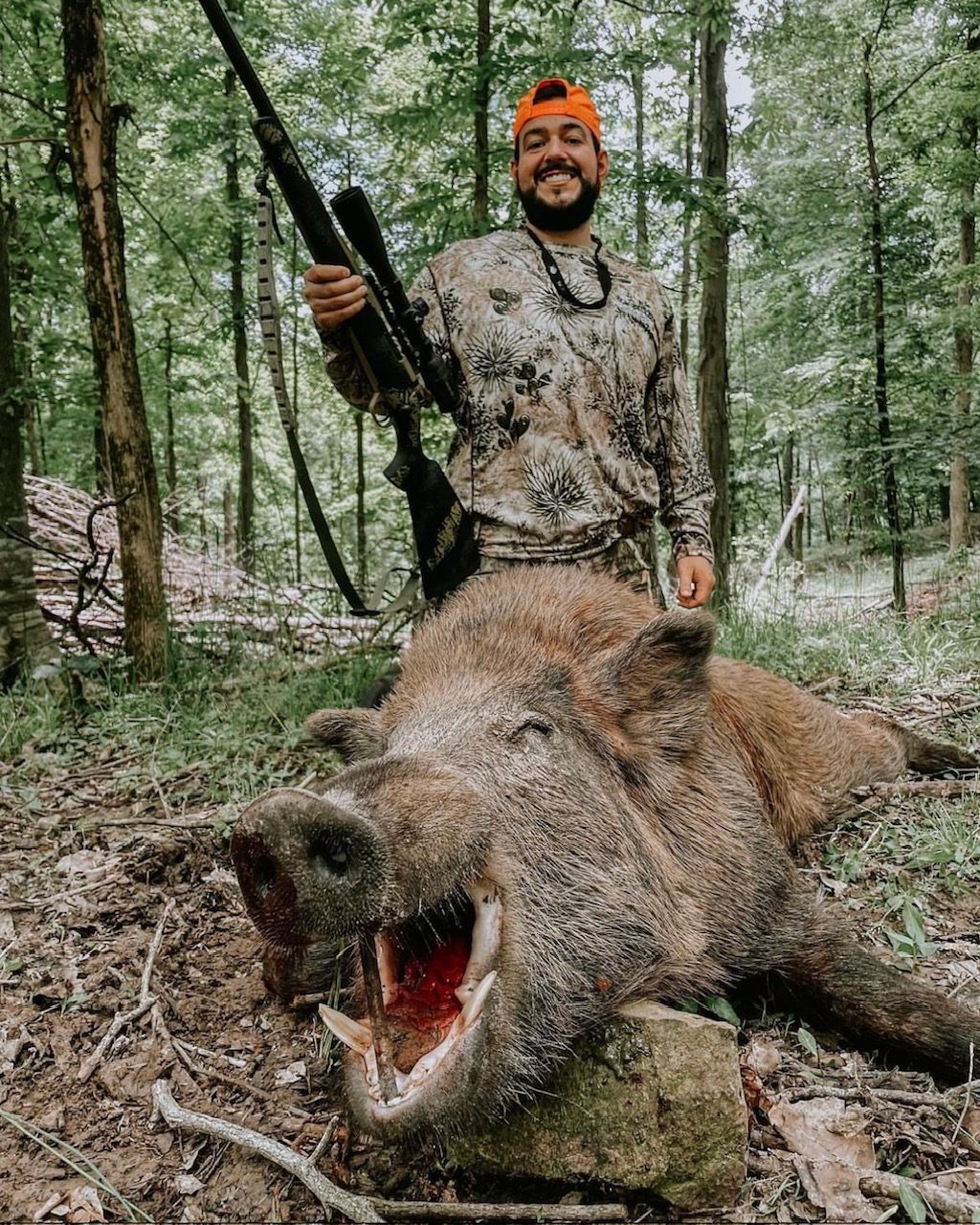 Tennessee Wild Boar Hunting