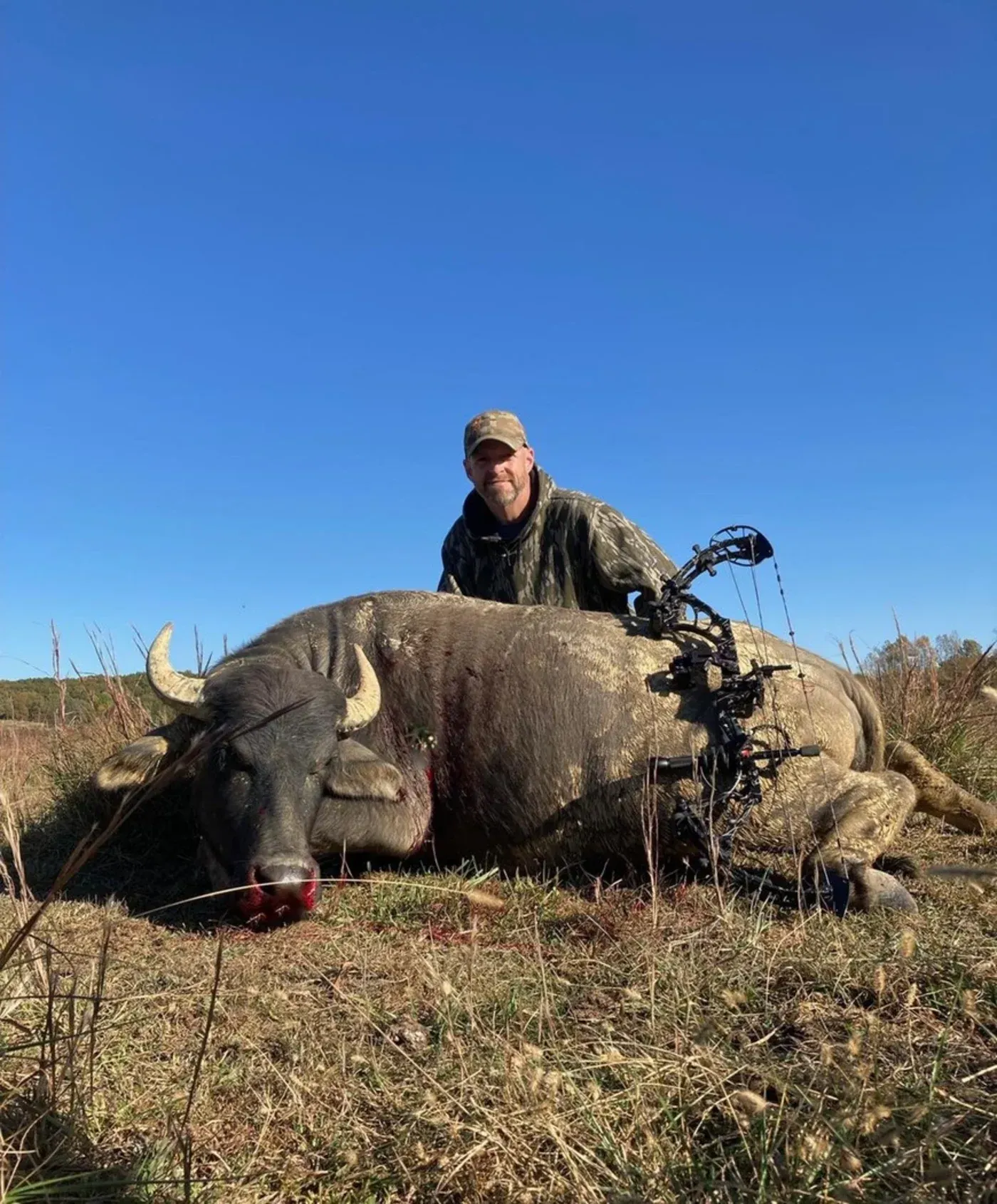 Tennessee Wild Boar Hunt