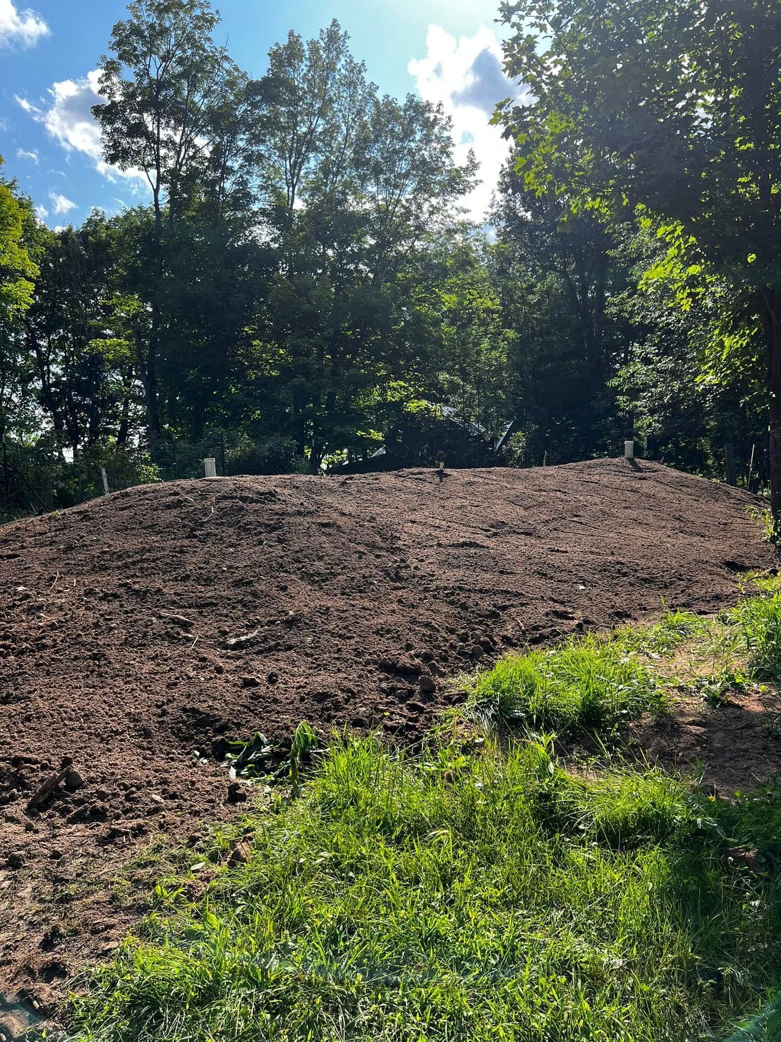 A large mound of dark mulch sits in front of a line of green trees under a bright blue sky.