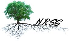 A stylized green tree with visible roots that extend to form the black text 