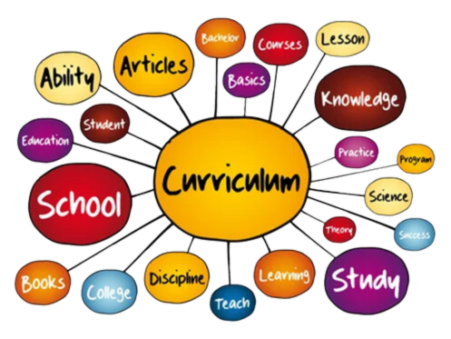 a diagram showing the different types of curriculum