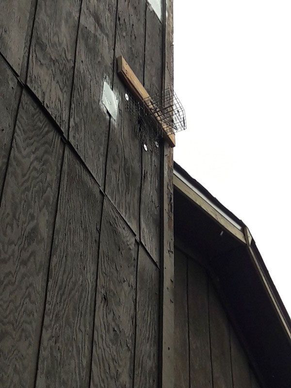 Dark brown house siding with wire mesh and wooden board installed near the roof.