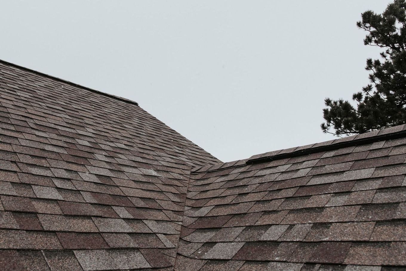A close up of a roof with a tree in the background.