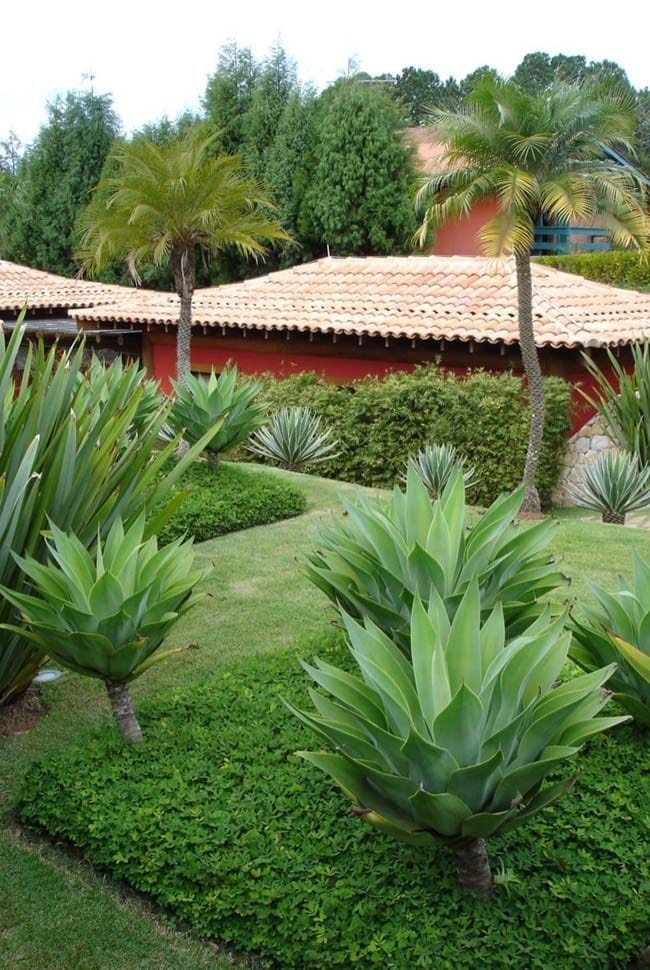 Servicios de jardinería JR